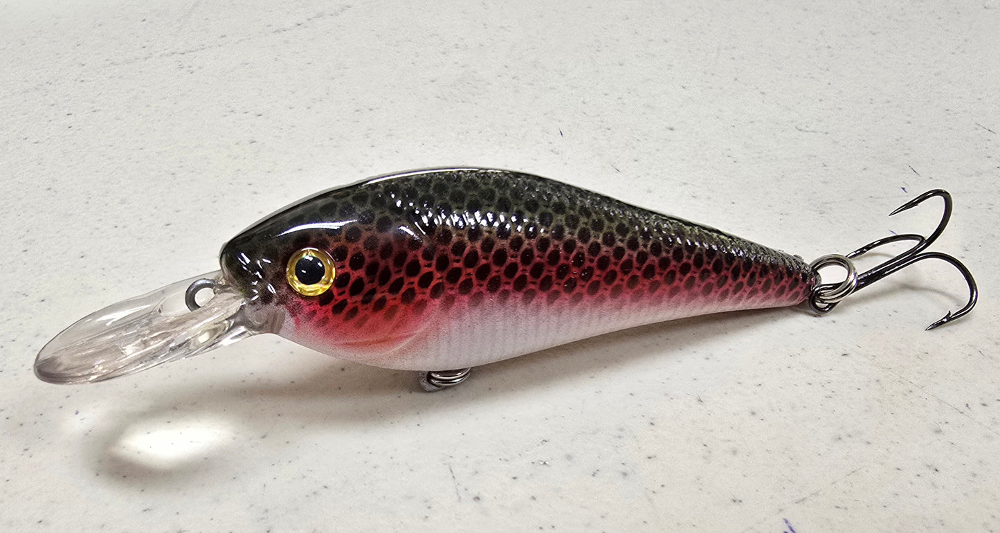 3.75" Shallow Minnow